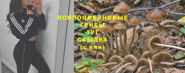 прущая мука Верхний Тагил